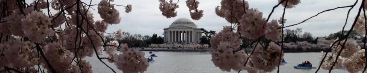 Jefferson Monument through trees